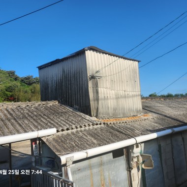 전남 해남 도토…